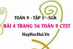 Bài 4 trang 56 Toán 9 tập 1 Chân trời sáng tạo